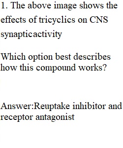 Nervous System Quiz